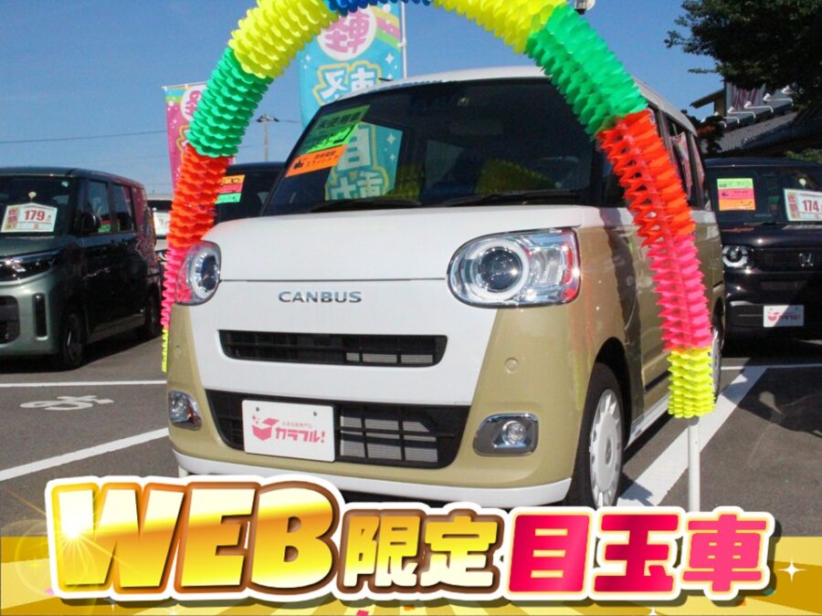 ムーブキャンバス　ストライプG